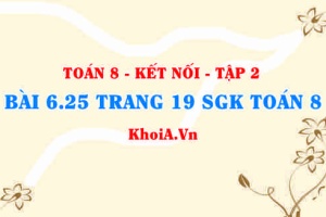 Bài 6.25 trang 19 Toán 8 Kết nối tri thức Tập 2
